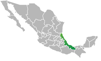 Agricultura por estado: Veracruz