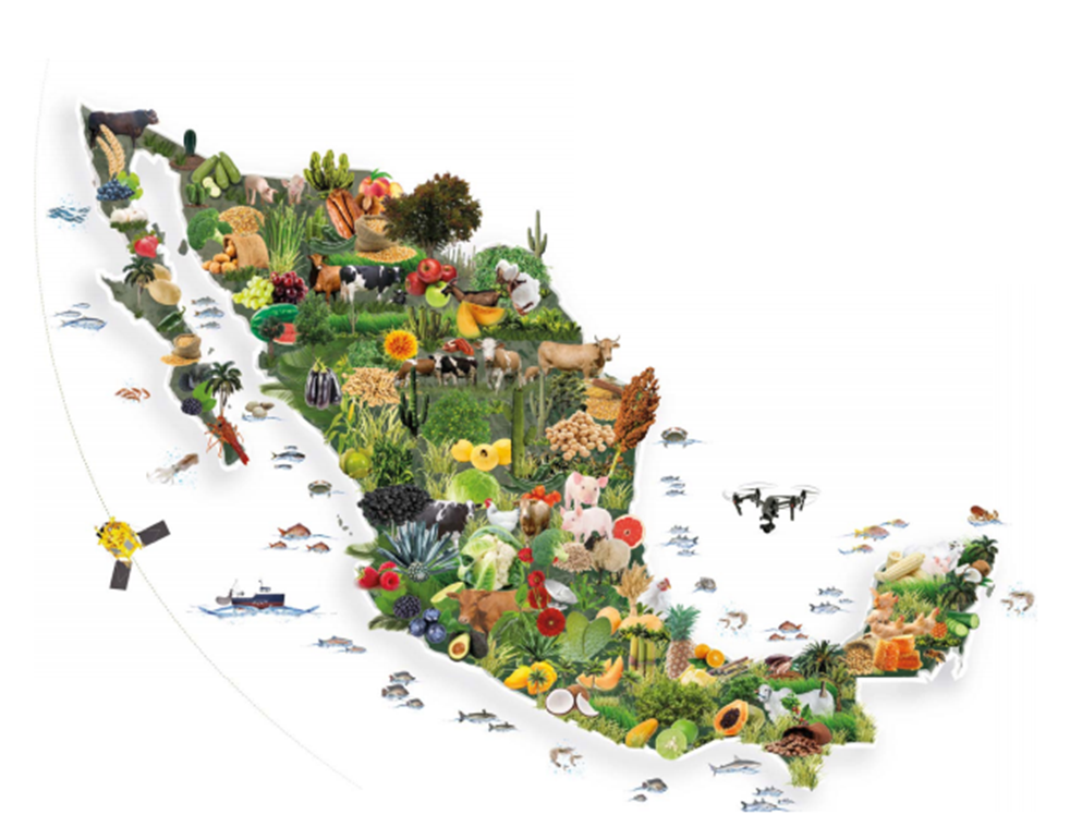 Estados agrícolas de México