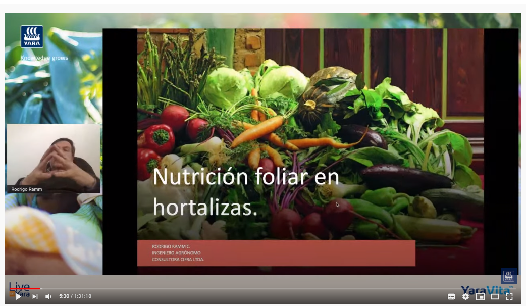 Nutrición foliar con micronutrientes y su impacto en la calidad y producción de cebollas y hortalizas
